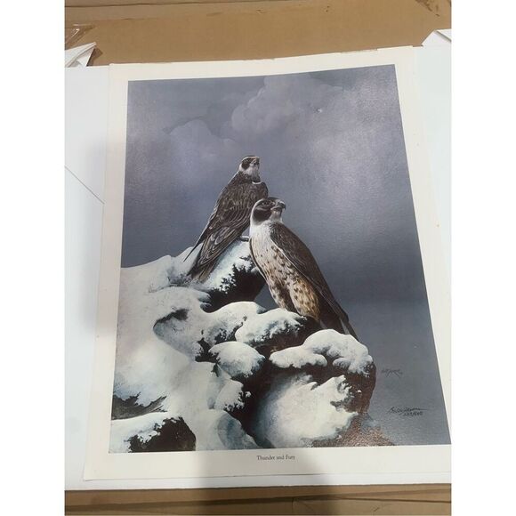 Thunder And Fury Birds Large Print Numbered and Signed 223/500 Bill Jaxon - Picture 1 of 5